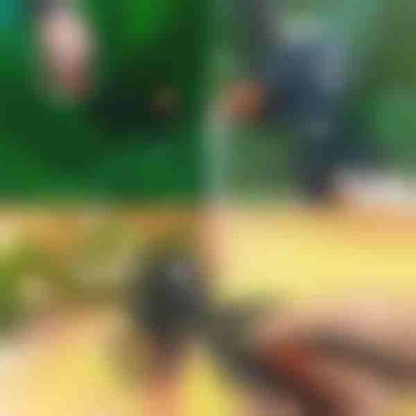 Tesoura Profissional de Poda e Enxertia 2 em 1 | MASTERCUT