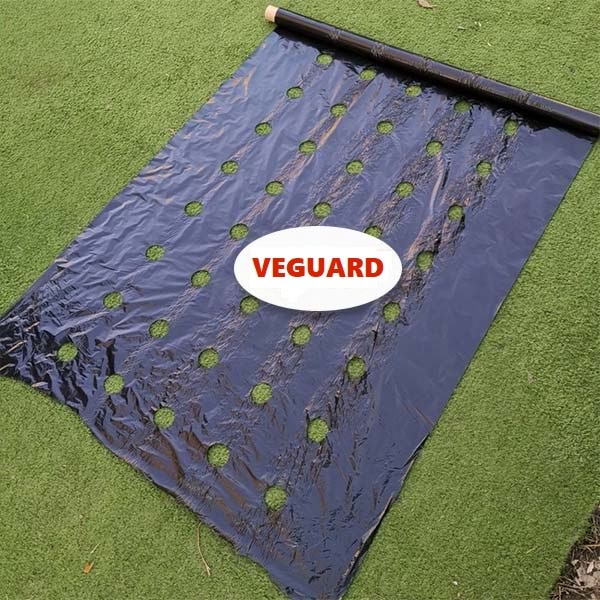 Tapete de crescimento sem ervas daninhas (0,95x10m) | VEGUARD